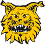 Tampereen Ilves