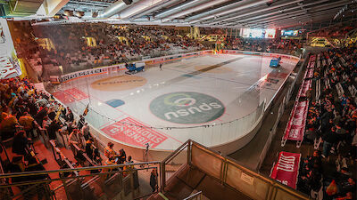 Vienna Capitals: Der Status Quo der STEFFL Arena