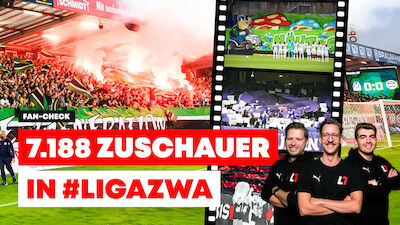 Fan-Check nach der 29. Runde
