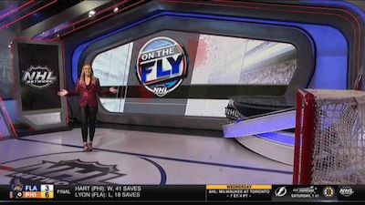 NHL: On the Fly