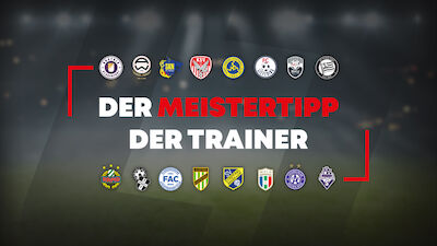 Wer wird Meister? So tippen die #LigaZwa-Trainer