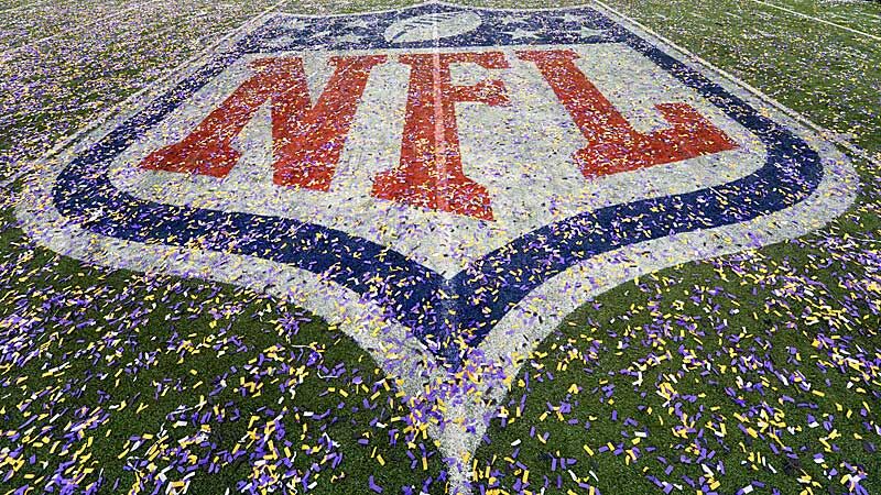 Die Maskottchen der NFL