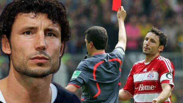 Van bommel best sale b2b