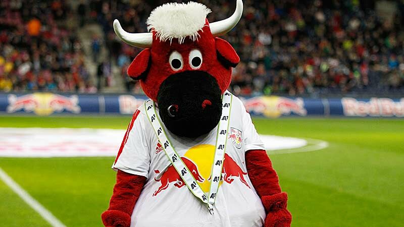 Slideshow Bild