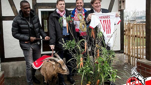 Tierschutz kritisiert 1. FC Köln