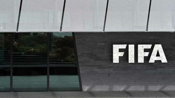 FIFA rät zur Torlinientechnik
