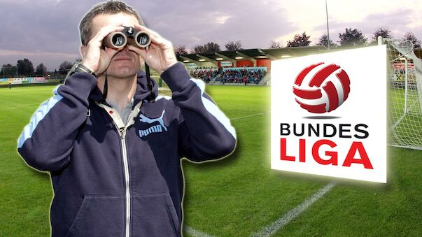 Die Bundesliga-Klubs im Scouting-Check