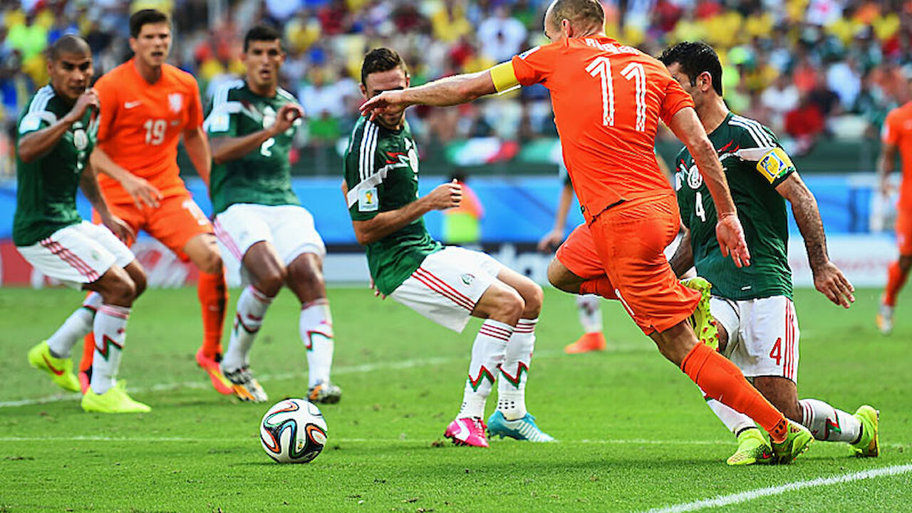 Schwalbe Robben Schwalbe Robben