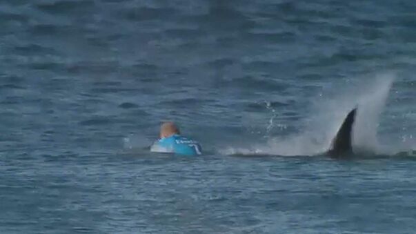 Surfer-Comeback nach Hai-Attacke
