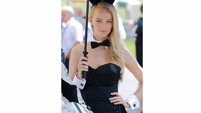 Slideshow Bild