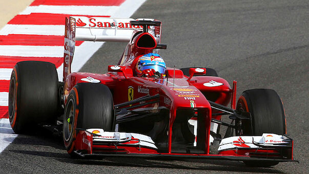 Alonso wird mehr Fans hinter sich haben als Vettel