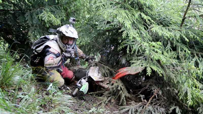 Slideshow Bild