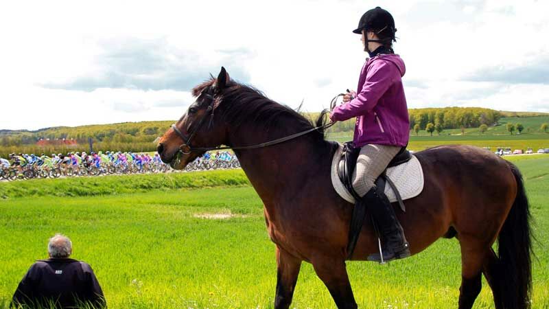 Slideshow Bild