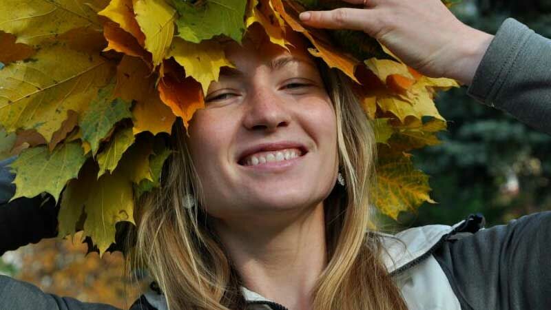 Slideshow Bild