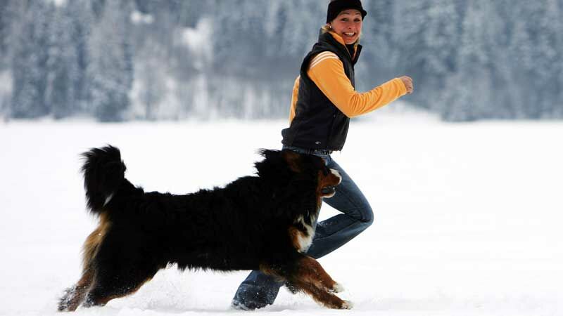Slideshow Bild