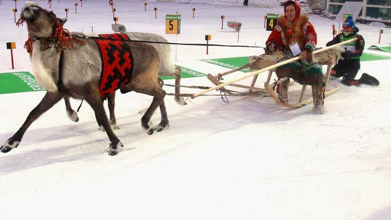 Slideshow Bild