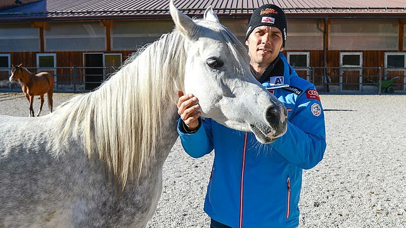 Slideshow Bild