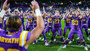 Vienna Vikings: Perfektion ist nicht alles