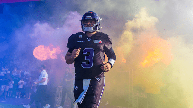 Vienna Vikings: Vorletztes Heimspiel der Regular Season