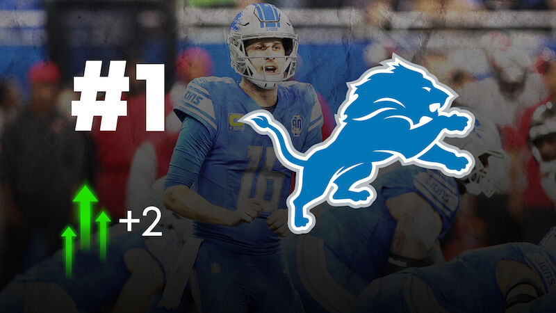 Detroit Lions (13-2)