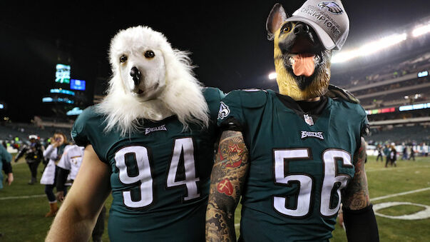 Warum die Eagles mehr als Underdogs sind