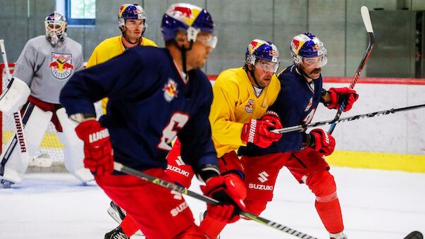 EBEL-Teams zurück am Eis