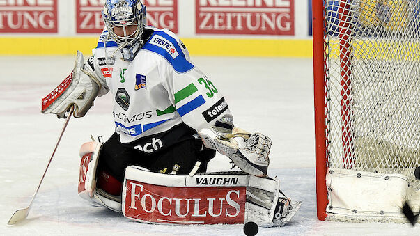 VSV holt Goalie Roy von Ljubljana