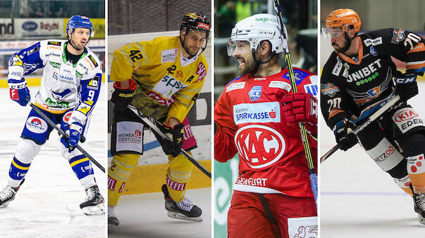 Das sind die Key-Player der ICE-Teams