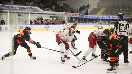 Graz99ers sind