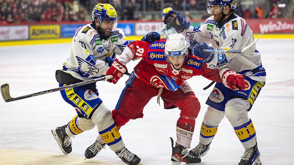 ICE-Playoffs: Wer wen picken sollte