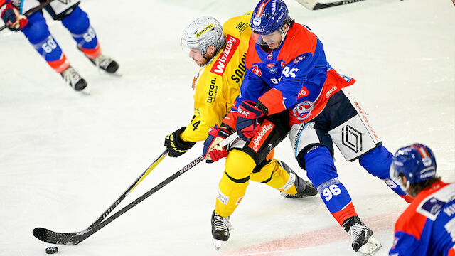 Innsbrucker Haie gehen den Capitals ins Netz
