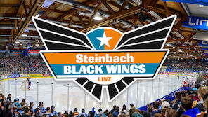 Top-6 im Visier: Black Wings zwischen Stabilität und Risiko