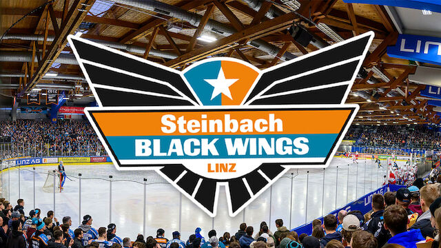 Top-6 im Visier: Black Wings zwischen Stabilität und Risiko