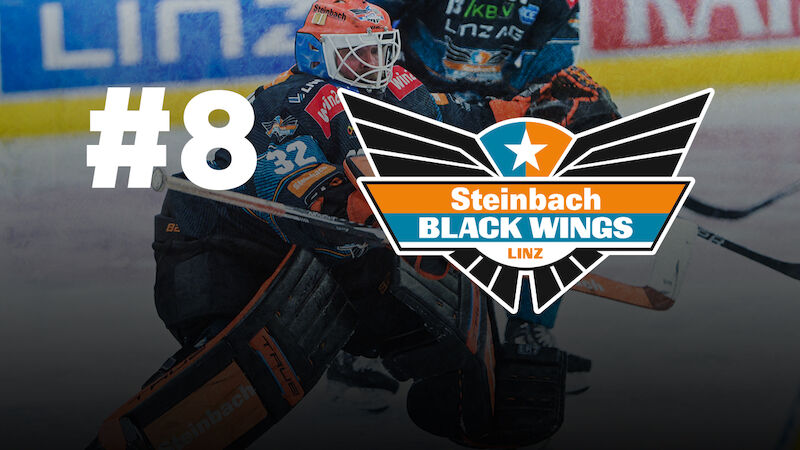 Black Wings Linz