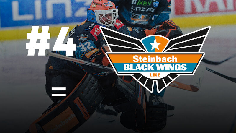 Black Wings Linz