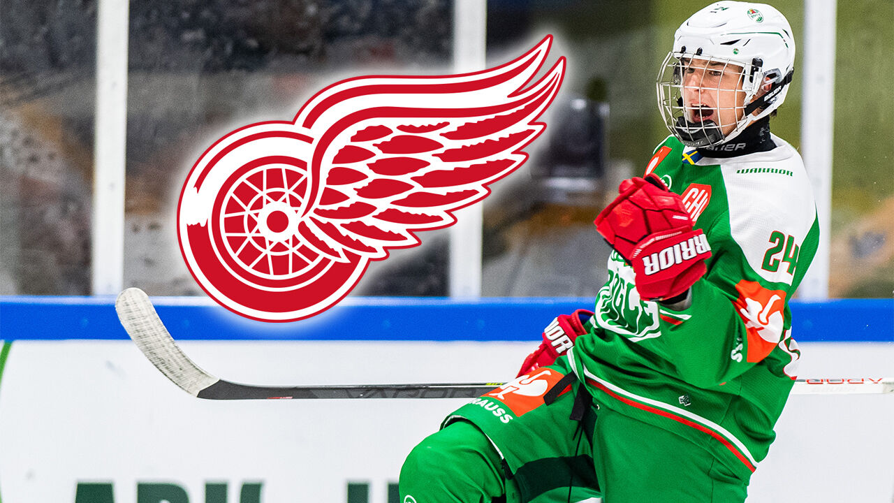 Steve Yzerman excited about Red Wings prospects Simon Edvinsson, Elmer  Soderblom : r/DetroitRedWings