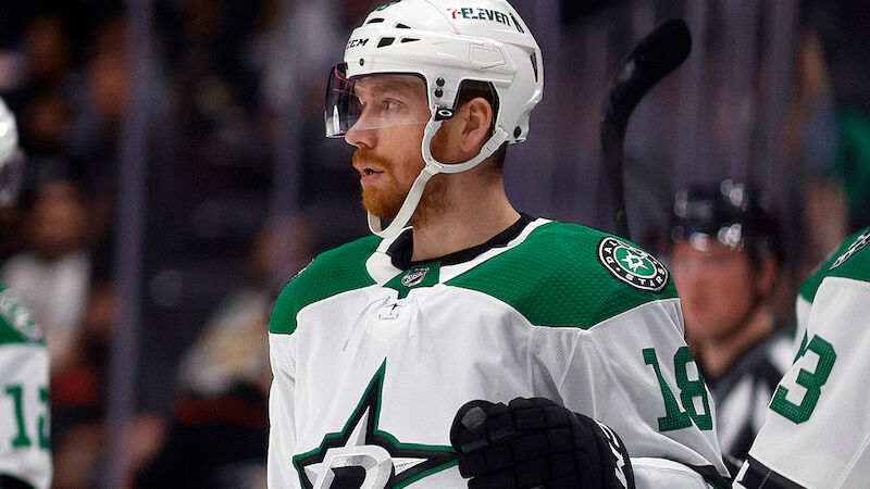 Michael Raffl