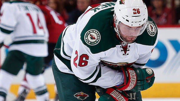 Wild-Pleite ohne Vanek