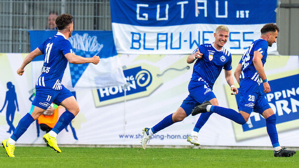 Horn überrascht gegen Blau-Weiß Linz