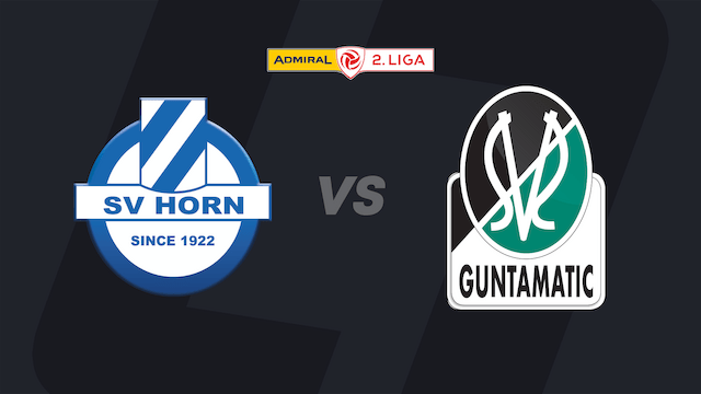 2. Liga heute im LIVE-Stream: SV Horn - SV Ried