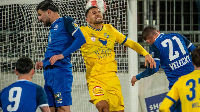 Goalie-Patzer kostet Stripfing möglichen Sieg