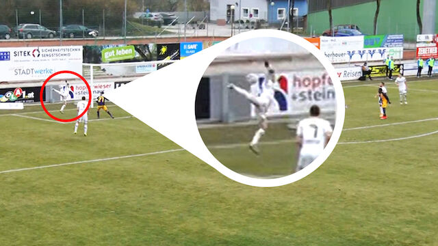 VIDEO: Unfassbarer Skorpion-Assist