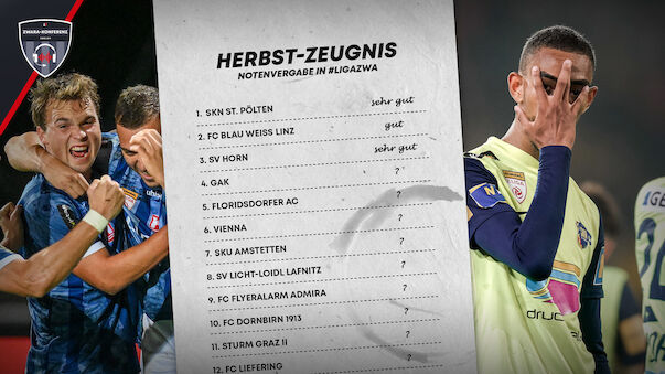 Das Herbst-Zeugnis für die Klubs der 2. Liga