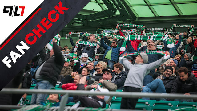 Fan-Check: Sogar halbleeres Hütteldorf Österreichs Nummer 1