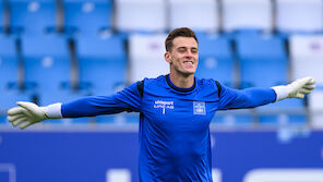 Vitek zu Sturm? Das ist der Stand