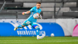Probetraining: Kommt Ex-Rapid-Torhüter bei Hartberg unter?