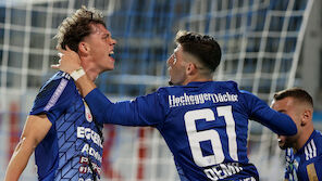 Hartberg feiert bei Schmid-Debüt den ersten Saisonsieg