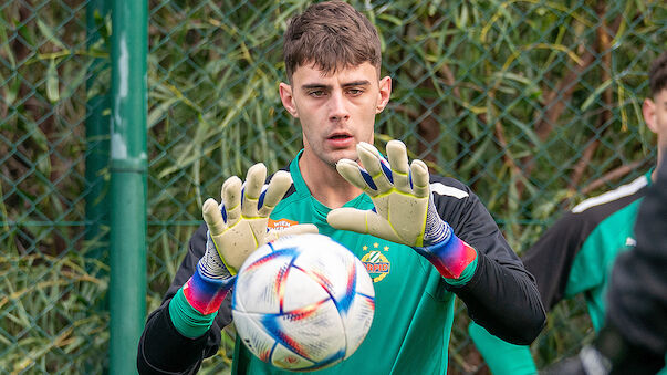 Niklas Hedl: 