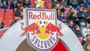 Bericht: So viel kassiert Salzburg jährlich von Red Bull