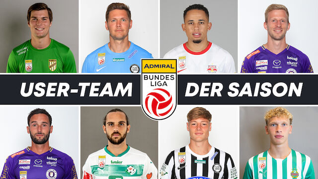 Das LAOLA1-User-Team der Bundesliga-Herbstsaison
